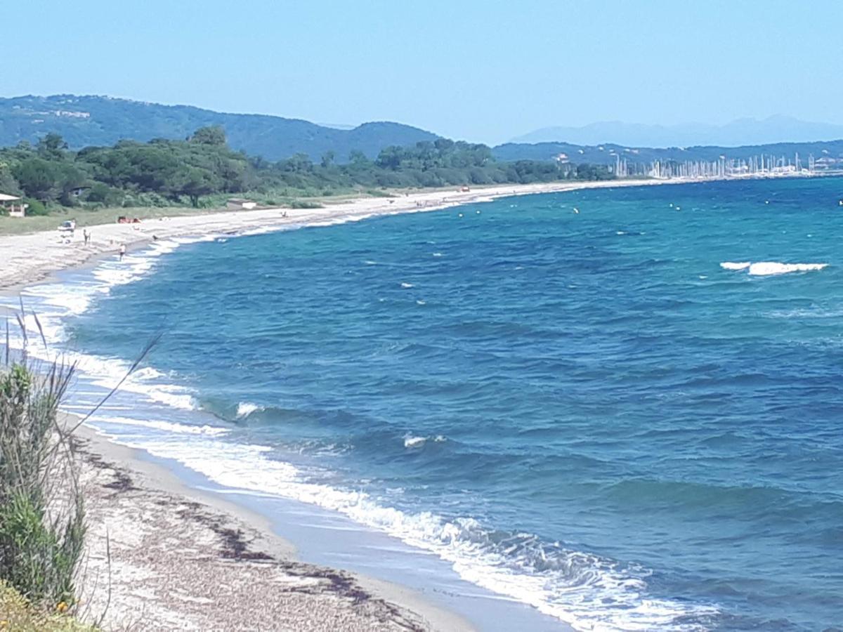 Villa Climatisee A Nuciola Prunete Entre Mer, Montagne Et Piscine セルヴィオーヌ エクステリア 写真