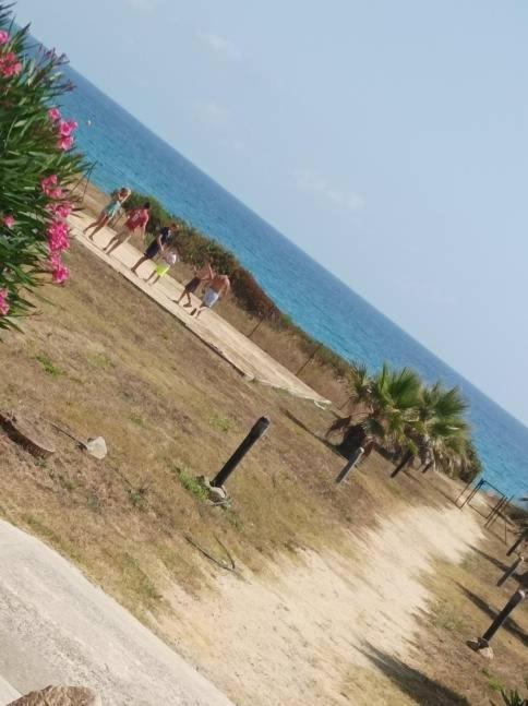 Villa Climatisee A Nuciola Prunete Entre Mer, Montagne Et Piscine セルヴィオーヌ エクステリア 写真