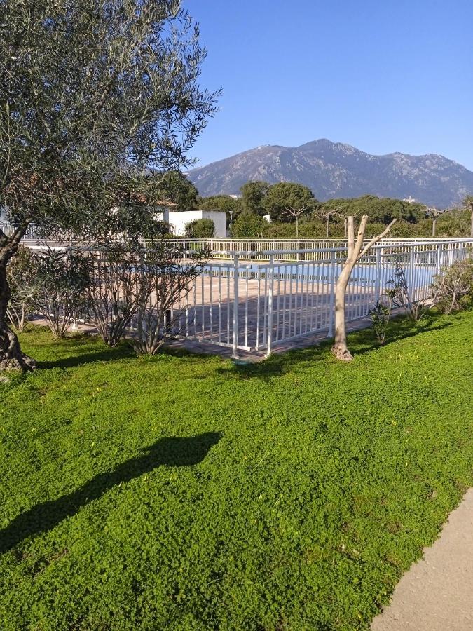 Villa Climatisee A Nuciola Prunete Entre Mer, Montagne Et Piscine セルヴィオーヌ エクステリア 写真