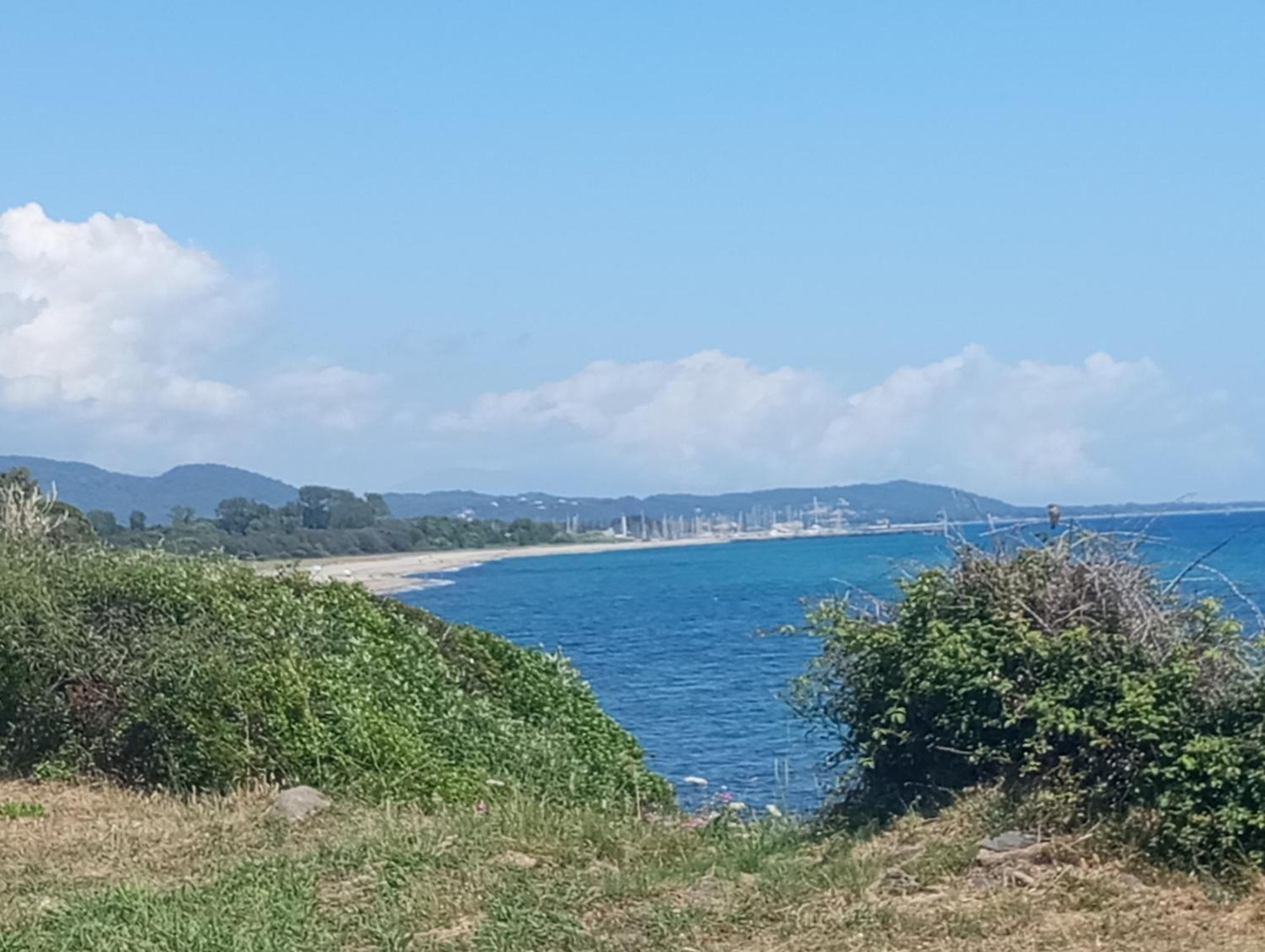 Villa Climatisee A Nuciola Prunete Entre Mer, Montagne Et Piscine セルヴィオーヌ エクステリア 写真