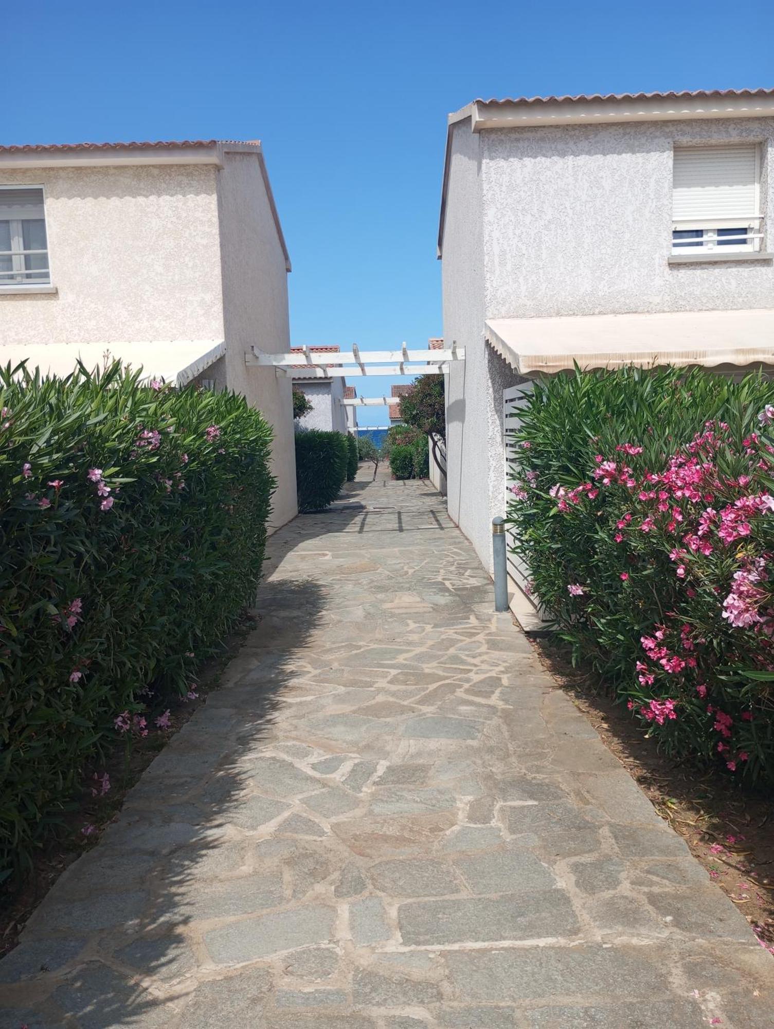 Villa Climatisee A Nuciola Prunete Entre Mer, Montagne Et Piscine セルヴィオーヌ エクステリア 写真