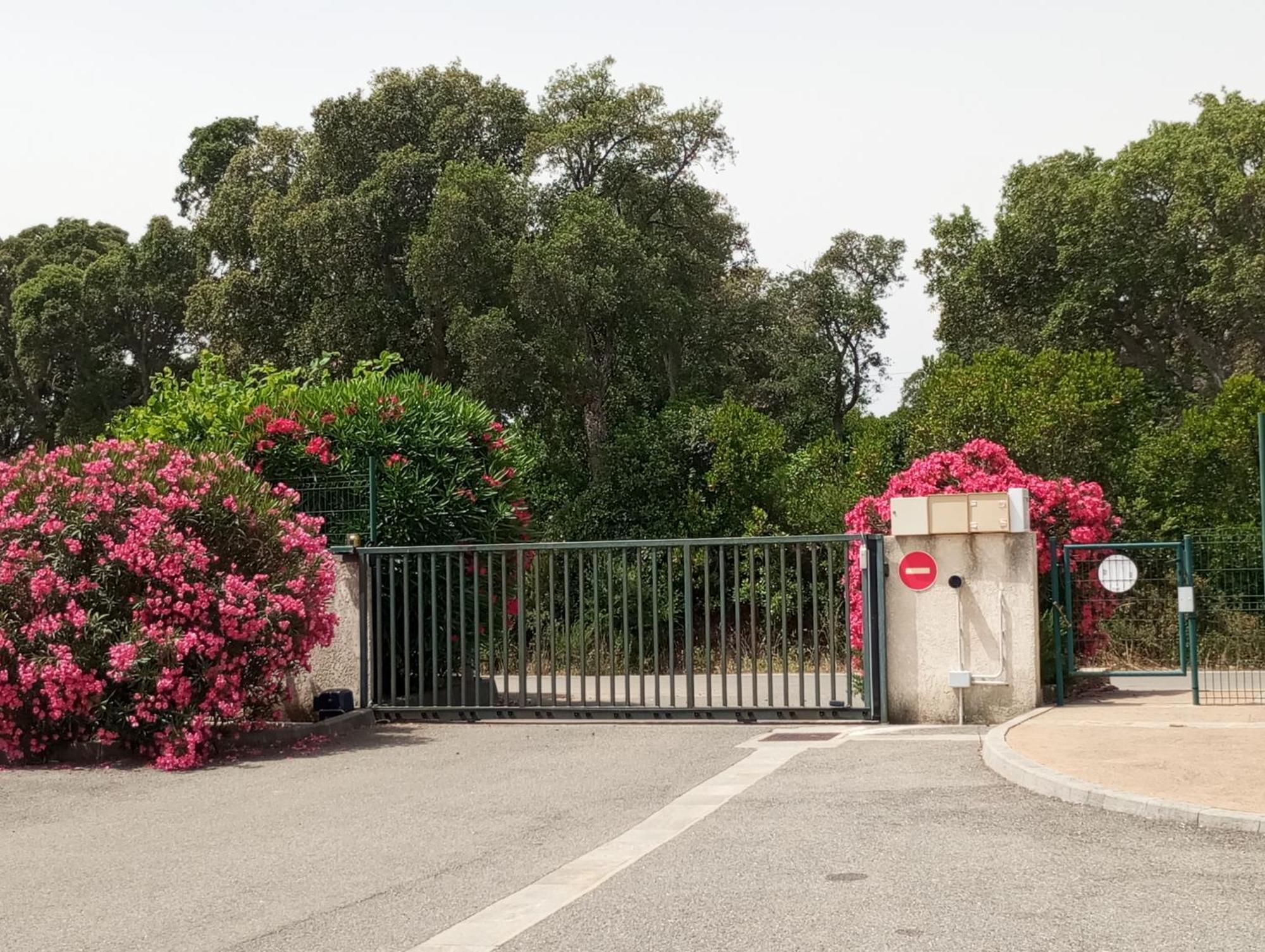 Villa Climatisee A Nuciola Prunete Entre Mer, Montagne Et Piscine セルヴィオーヌ エクステリア 写真