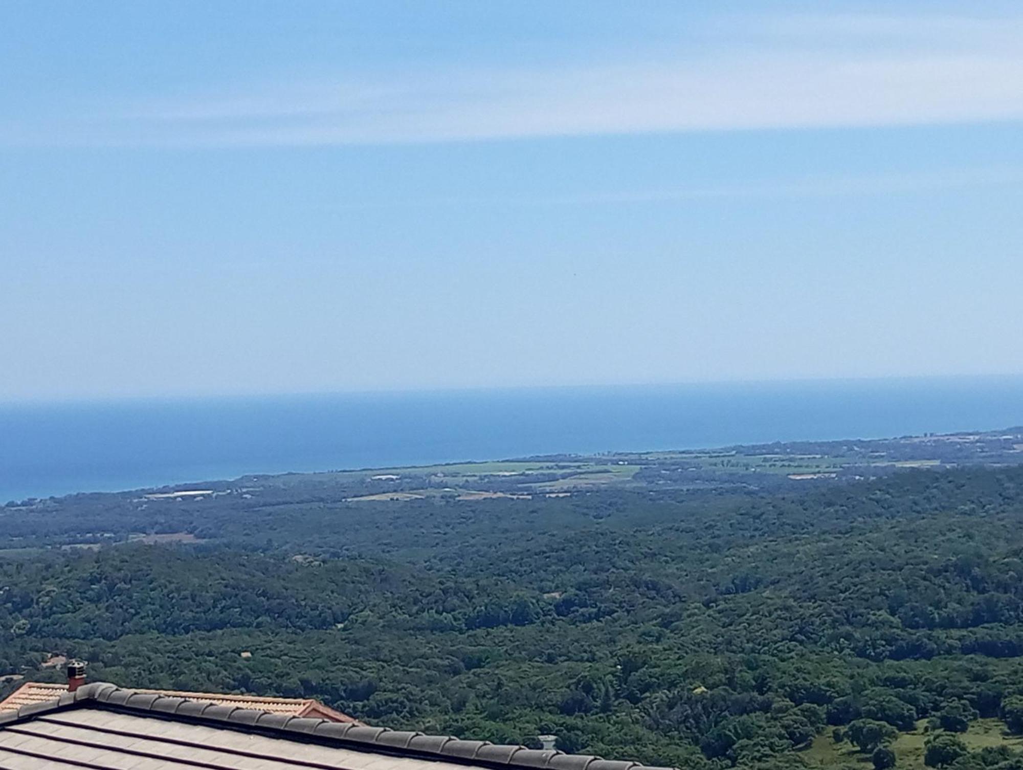 Villa Climatisee A Nuciola Prunete Entre Mer, Montagne Et Piscine セルヴィオーヌ エクステリア 写真