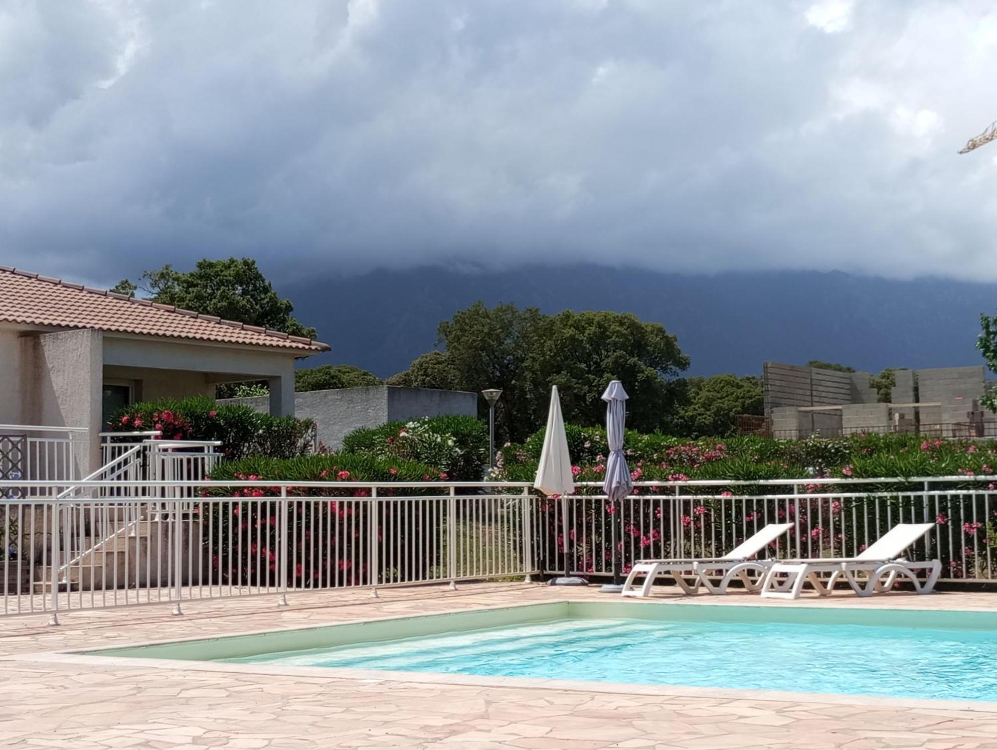 Villa Climatisee A Nuciola Prunete Entre Mer, Montagne Et Piscine セルヴィオーヌ エクステリア 写真