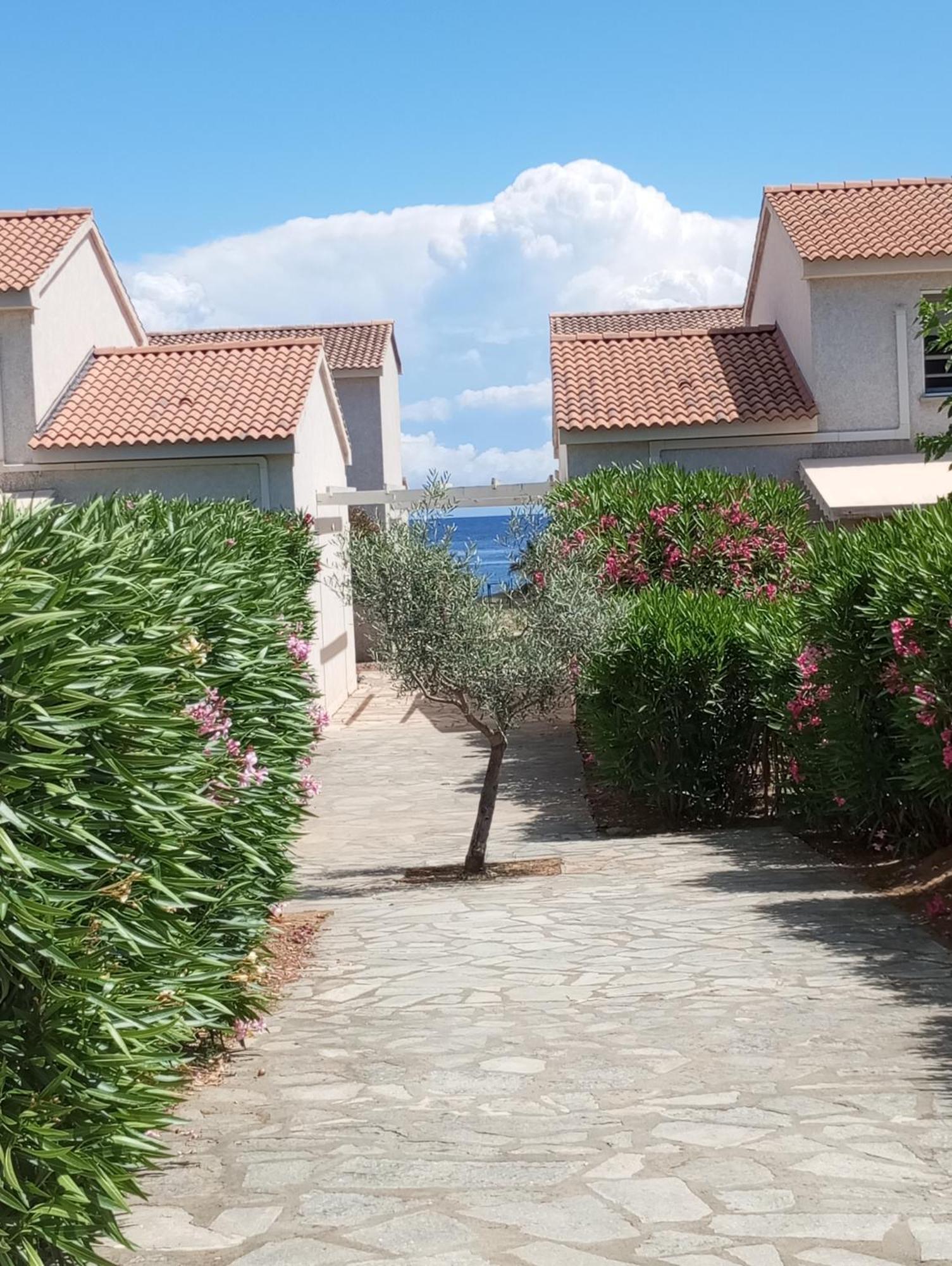 Villa Climatisee A Nuciola Prunete Entre Mer, Montagne Et Piscine セルヴィオーヌ エクステリア 写真