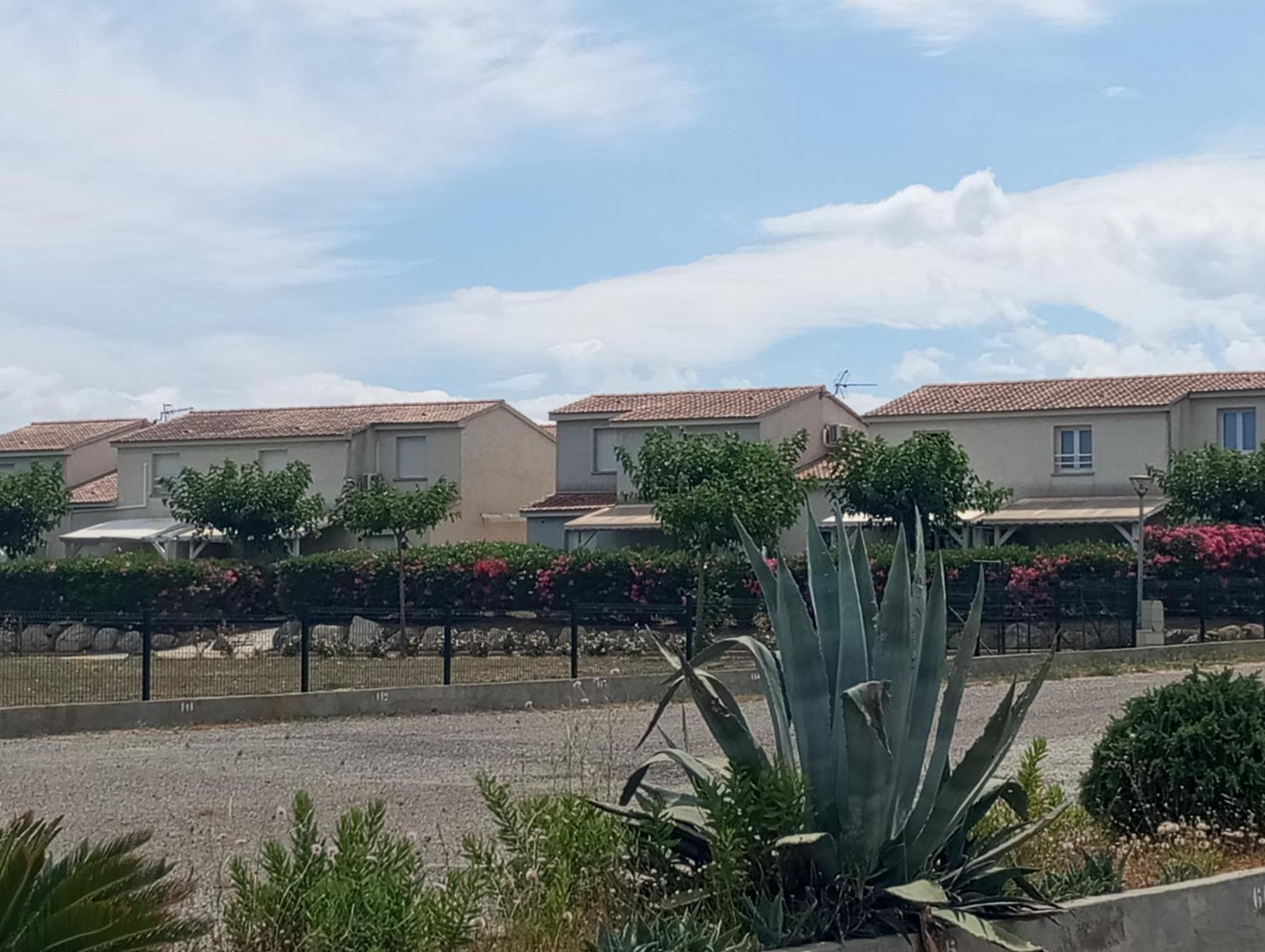 Villa Climatisee A Nuciola Prunete Entre Mer, Montagne Et Piscine セルヴィオーヌ エクステリア 写真