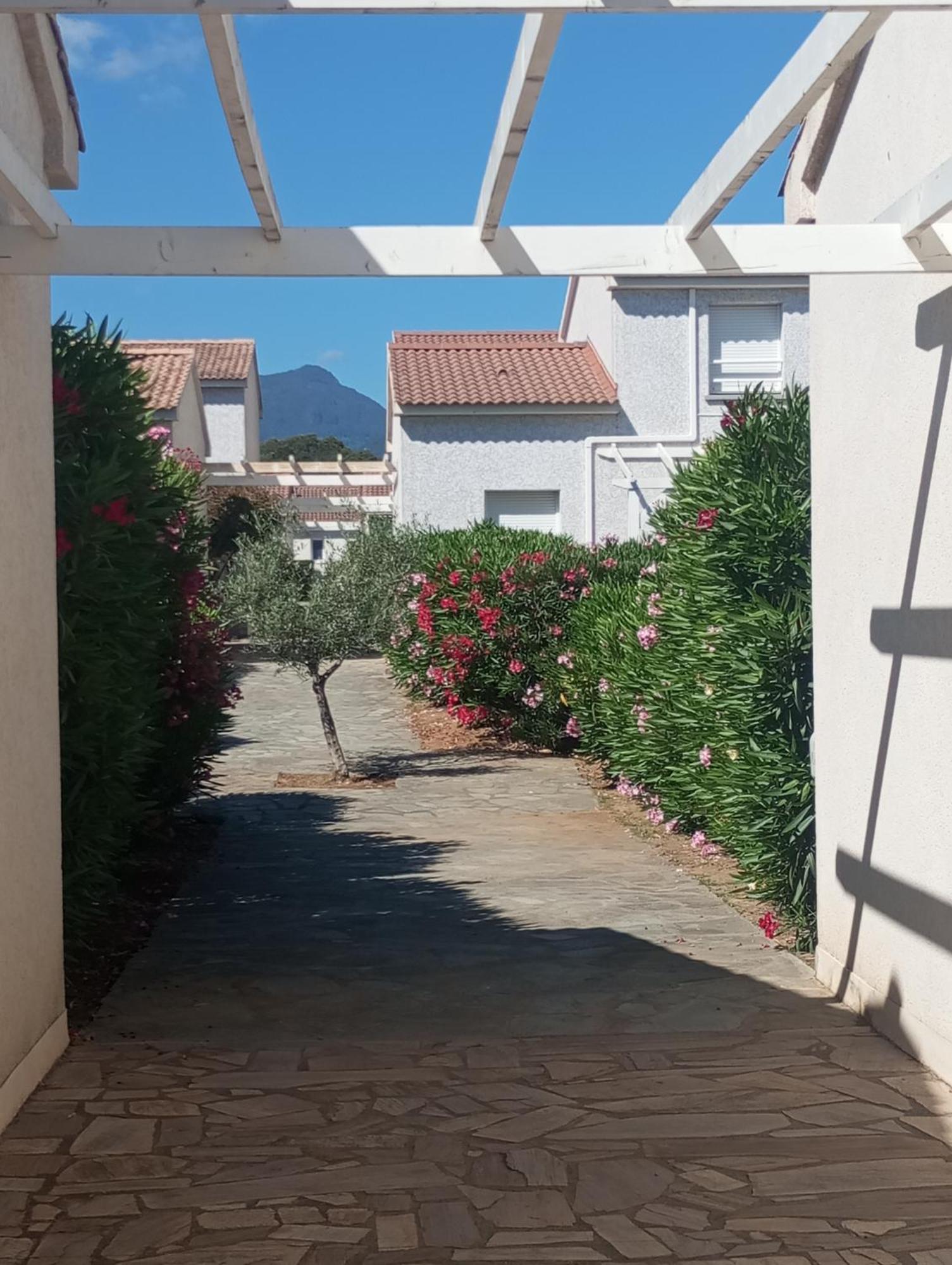 Villa Climatisee A Nuciola Prunete Entre Mer, Montagne Et Piscine セルヴィオーヌ エクステリア 写真