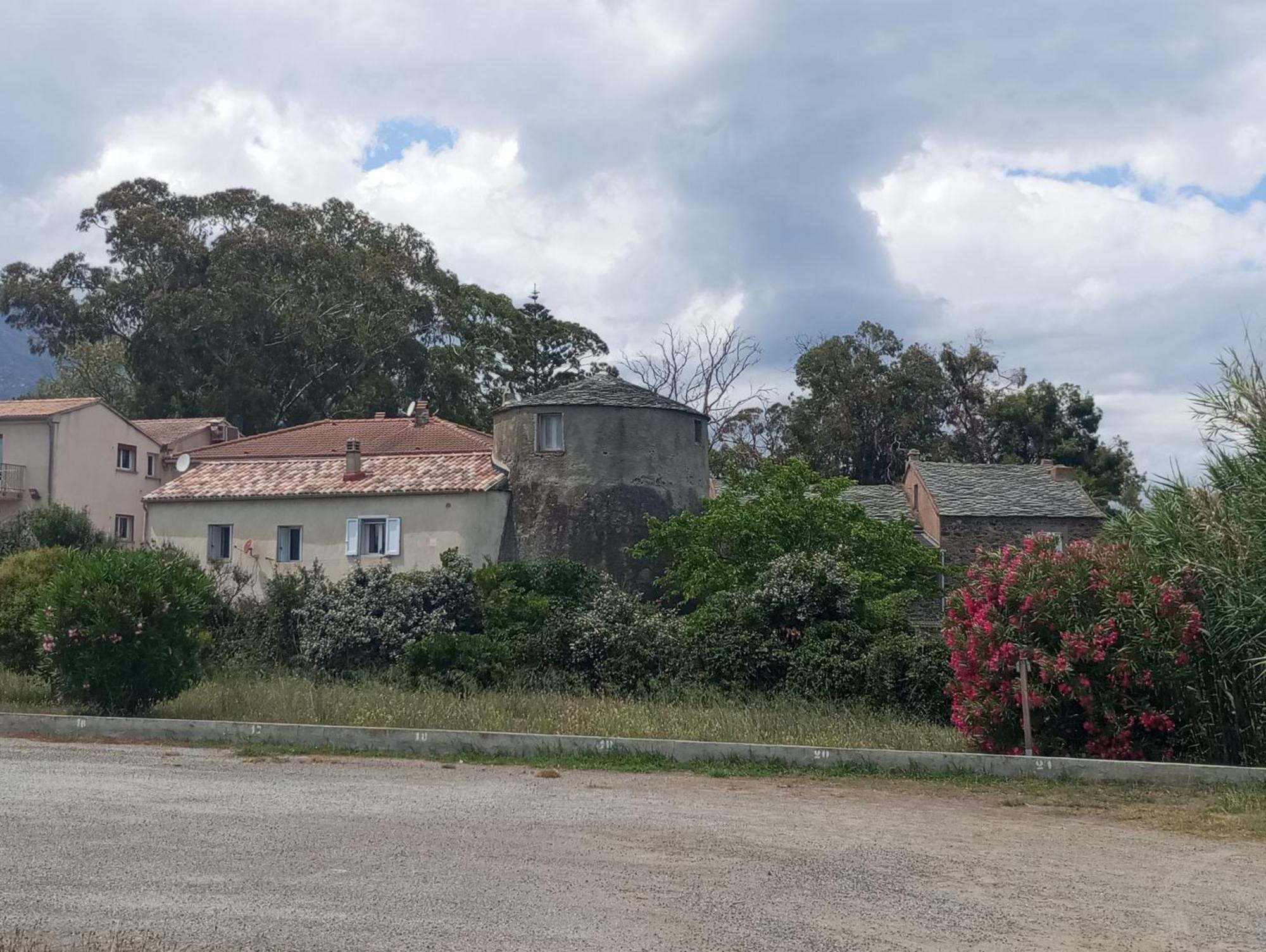 Villa Climatisee A Nuciola Prunete Entre Mer, Montagne Et Piscine セルヴィオーヌ エクステリア 写真