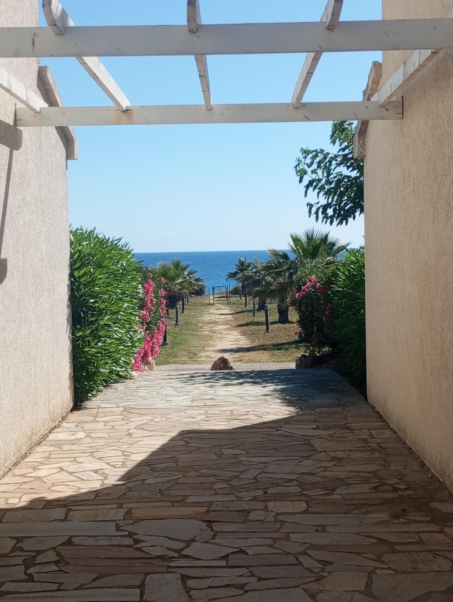 Villa Climatisee A Nuciola Prunete Entre Mer, Montagne Et Piscine セルヴィオーヌ エクステリア 写真